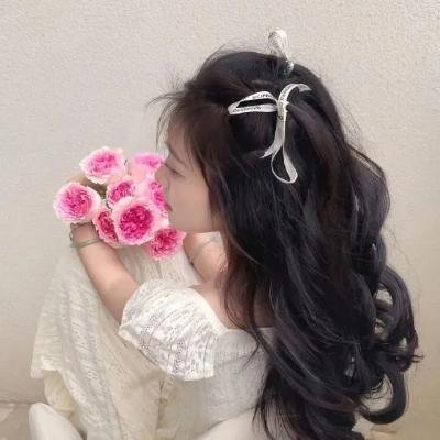 凤皇传