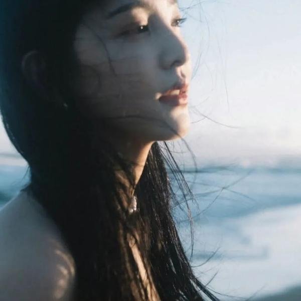 双琴记
